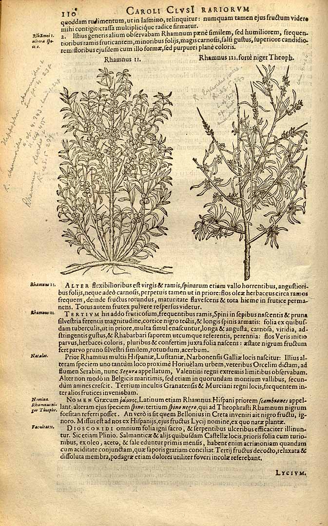 no HD illustration available (3)