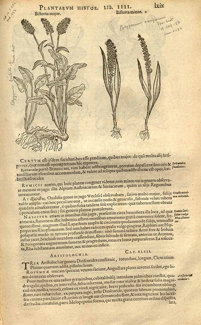 no HD illustration available (3)