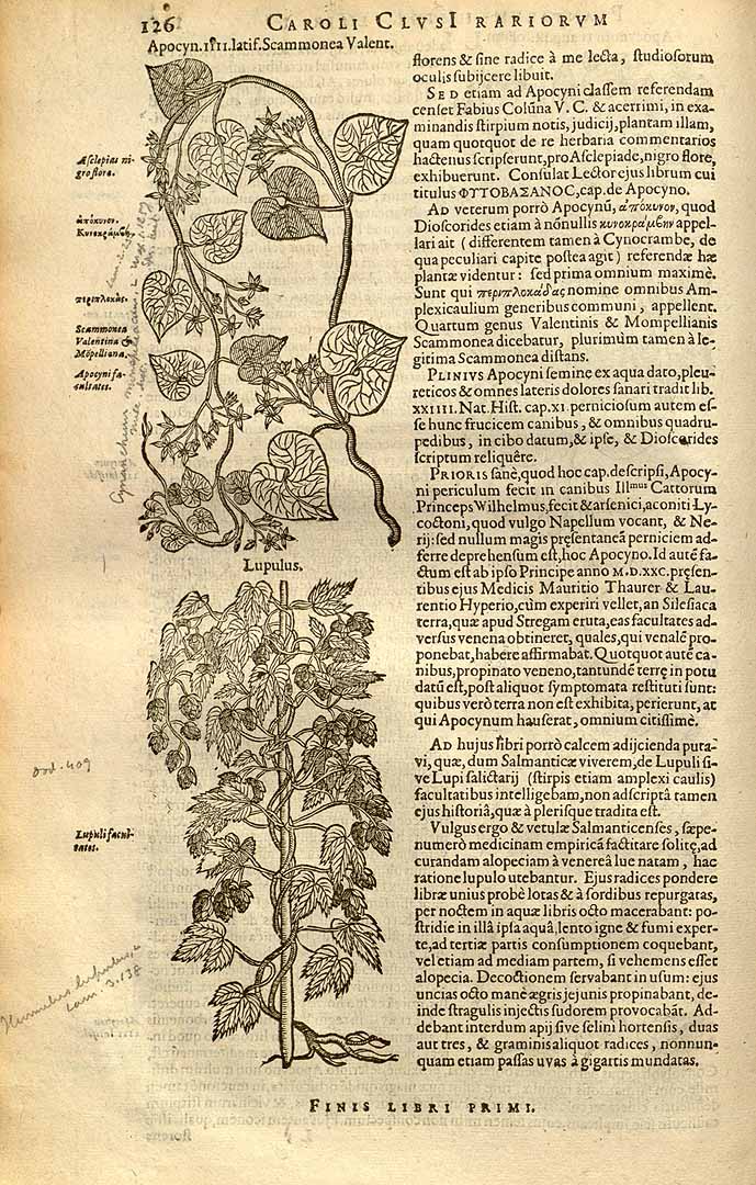 no HD illustration available (3)