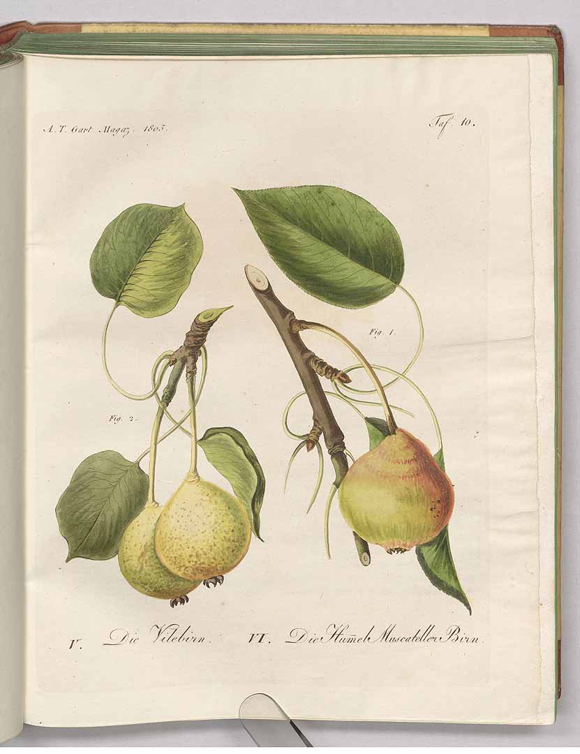 no HD illustration available (3)