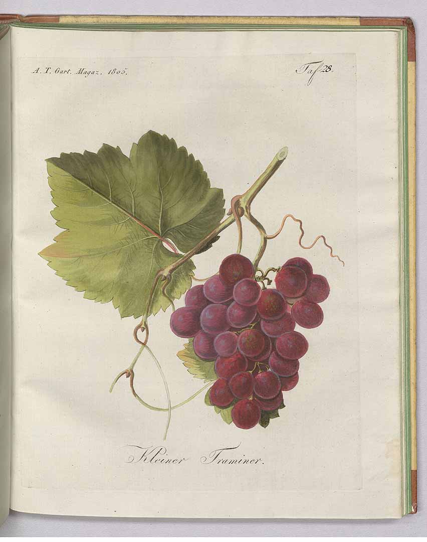 no HD illustration available (3)