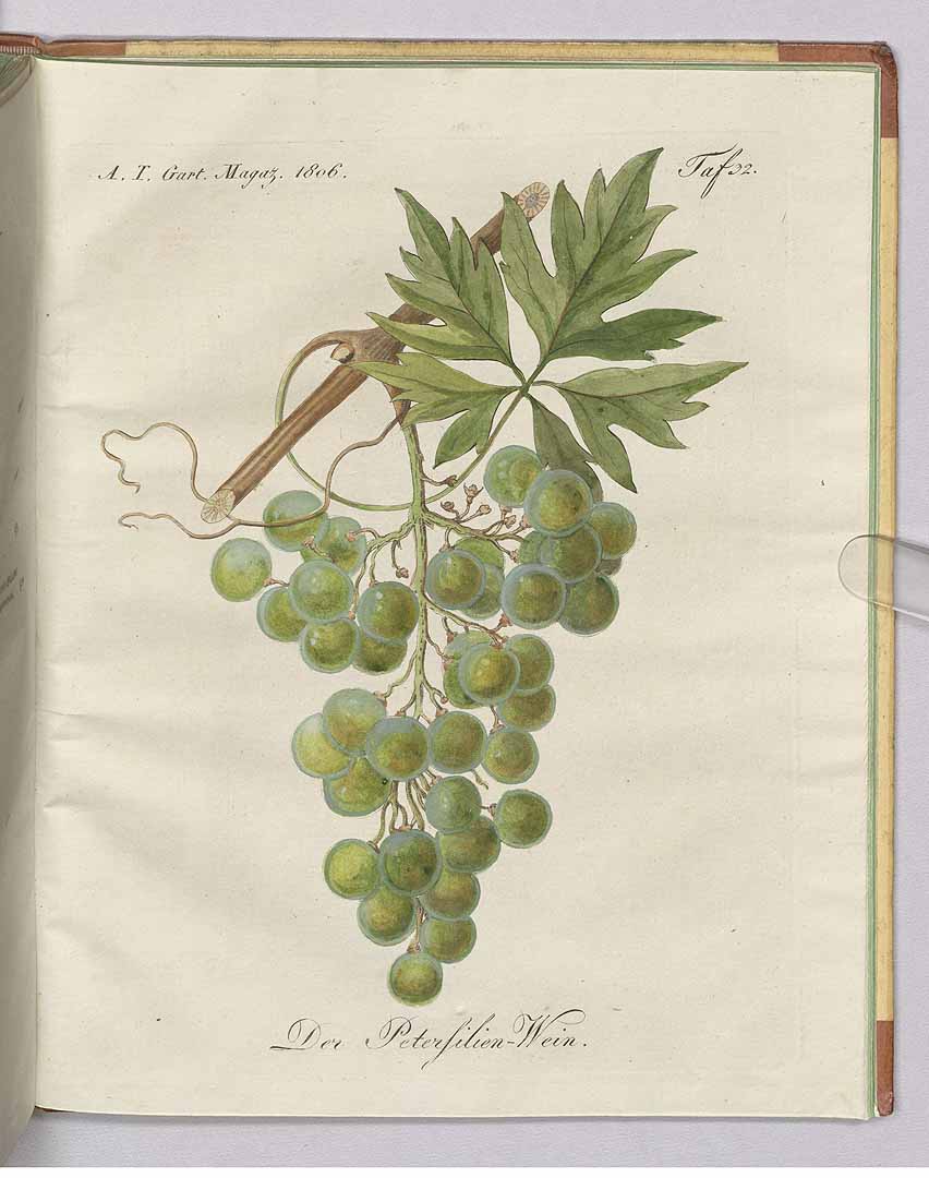 no HD illustration available (3)