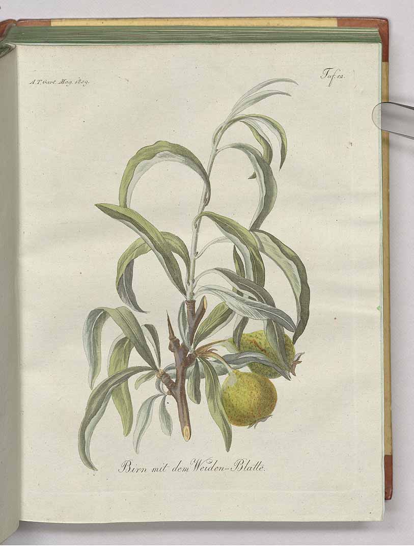 no HD illustration available (3)