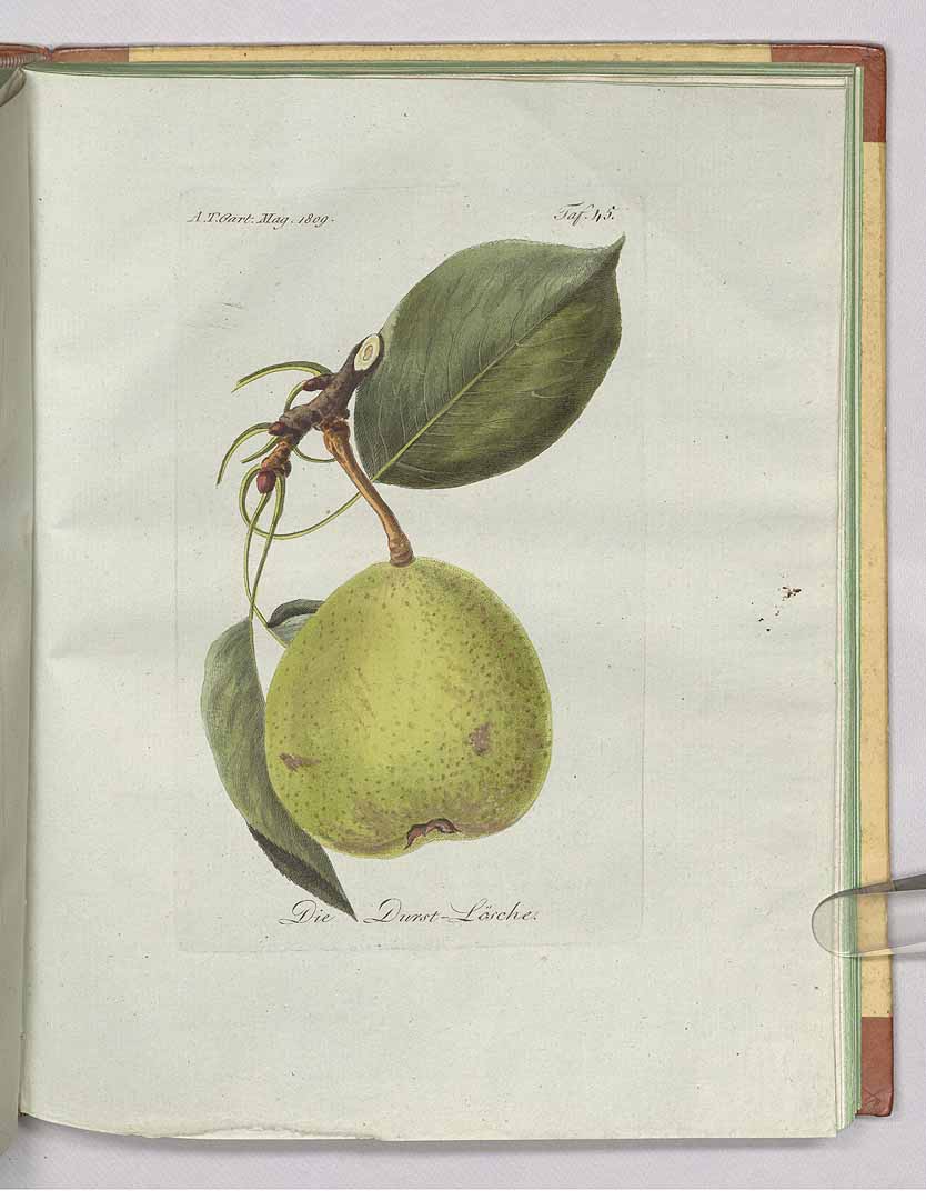 no HD illustration available (3)