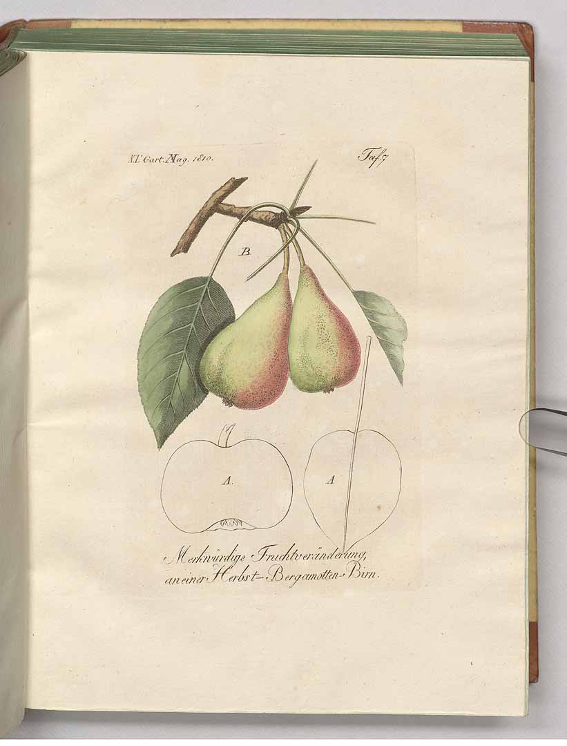 no HD illustration available (3)