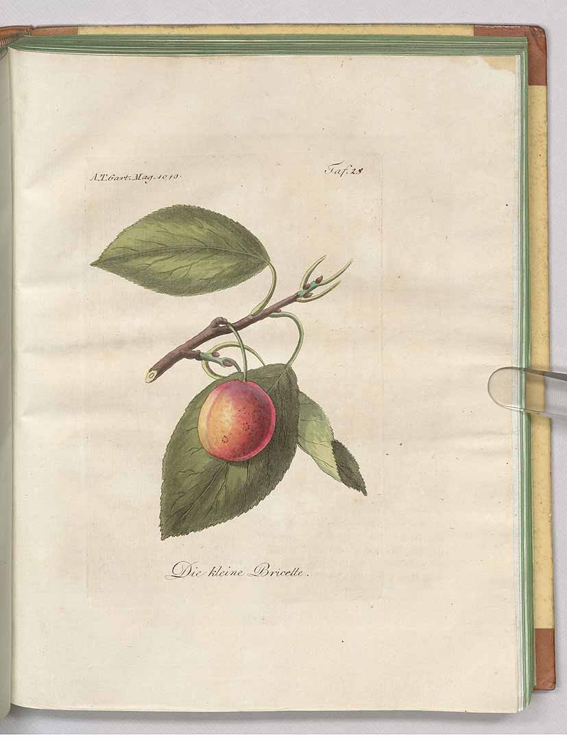 no HD illustration available (3)