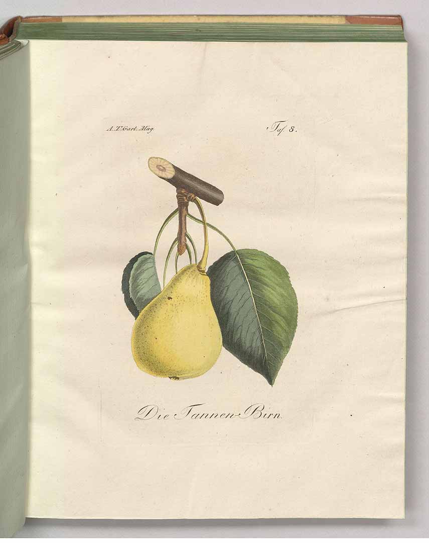 no HD illustration available (3)