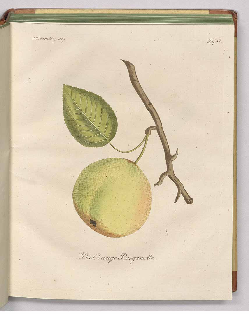 no HD illustration available (3)