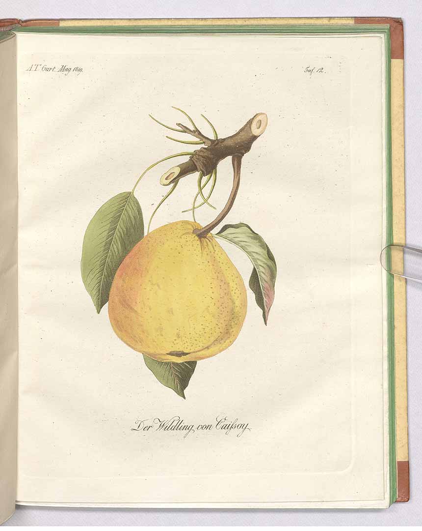 no HD illustration available (3)