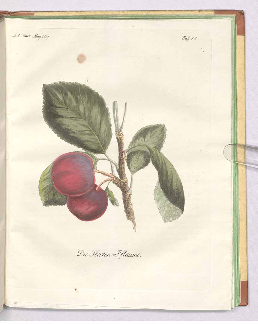 no HD illustration available (3)