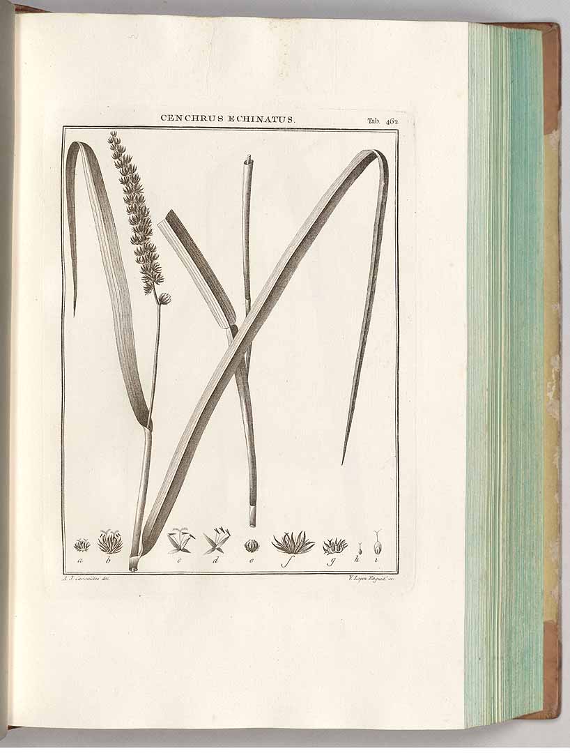 no HD illustration available (3)