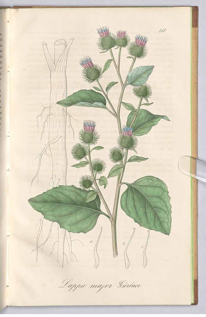 no HD illustration available (3)