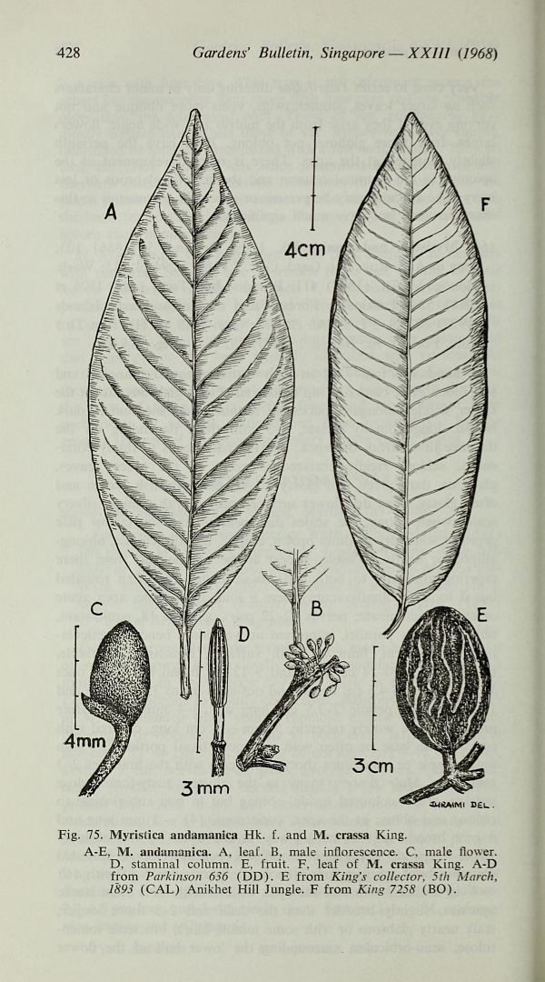 no HD illustration available (m3)