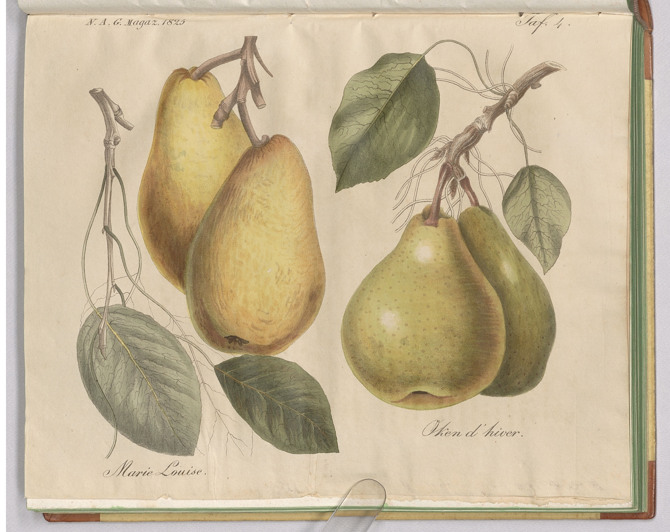 no HD illustration available (3)