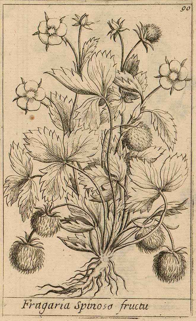 no HD illustration available (3)