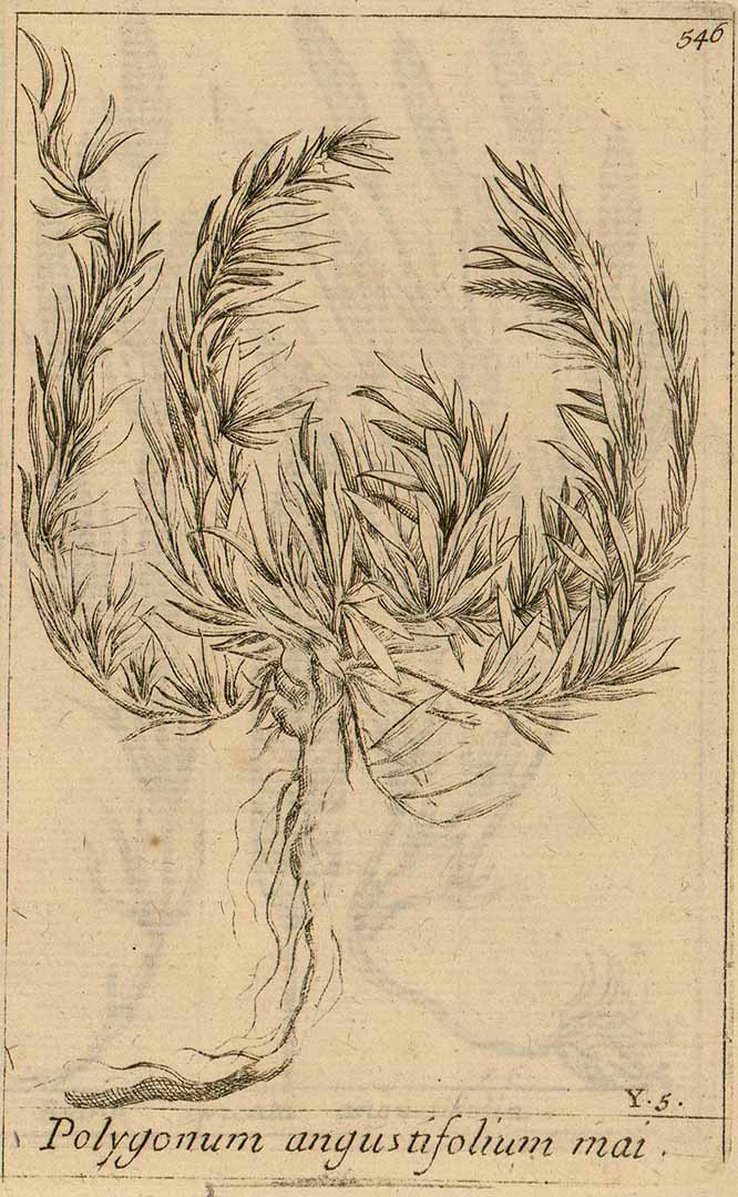 no HD illustration available (3)