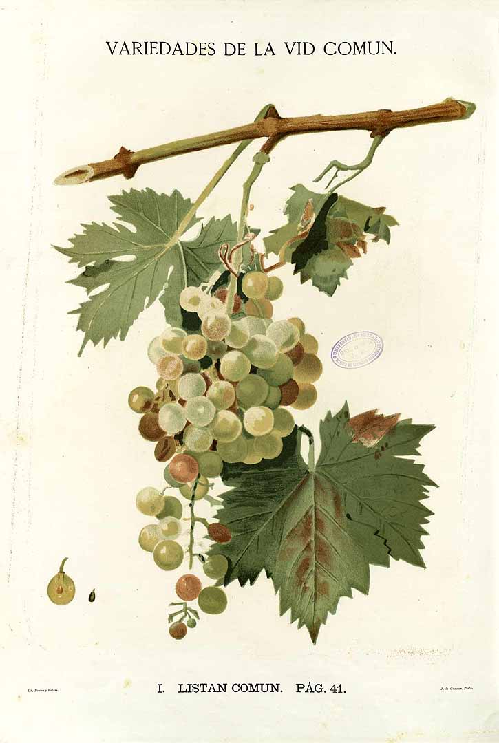 no HD illustration available (3)