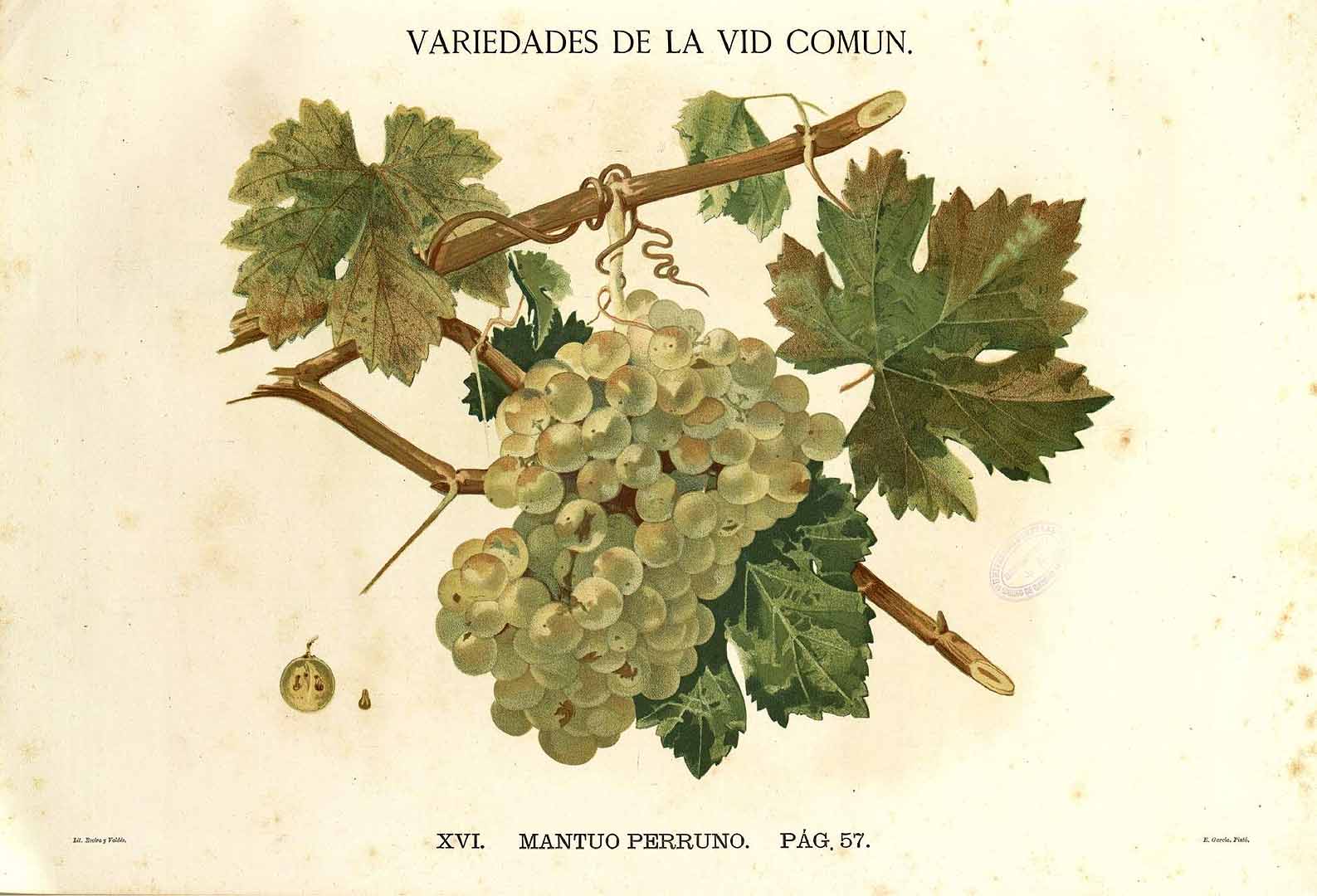 no HD illustration available (3)