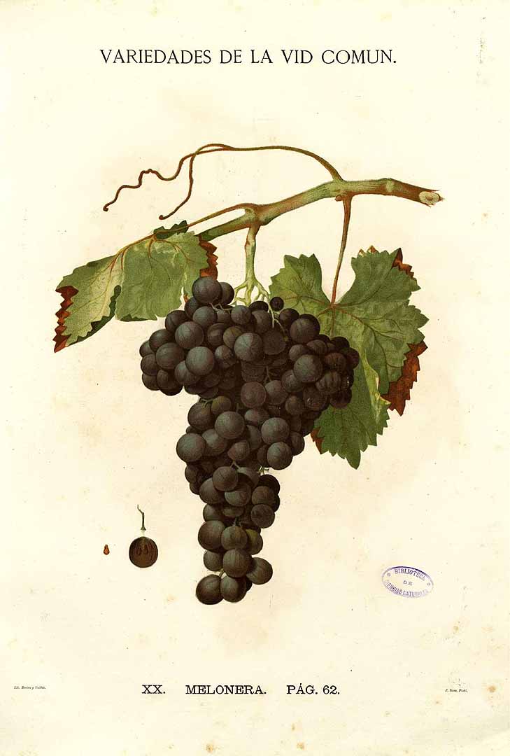 no HD illustration available (3)