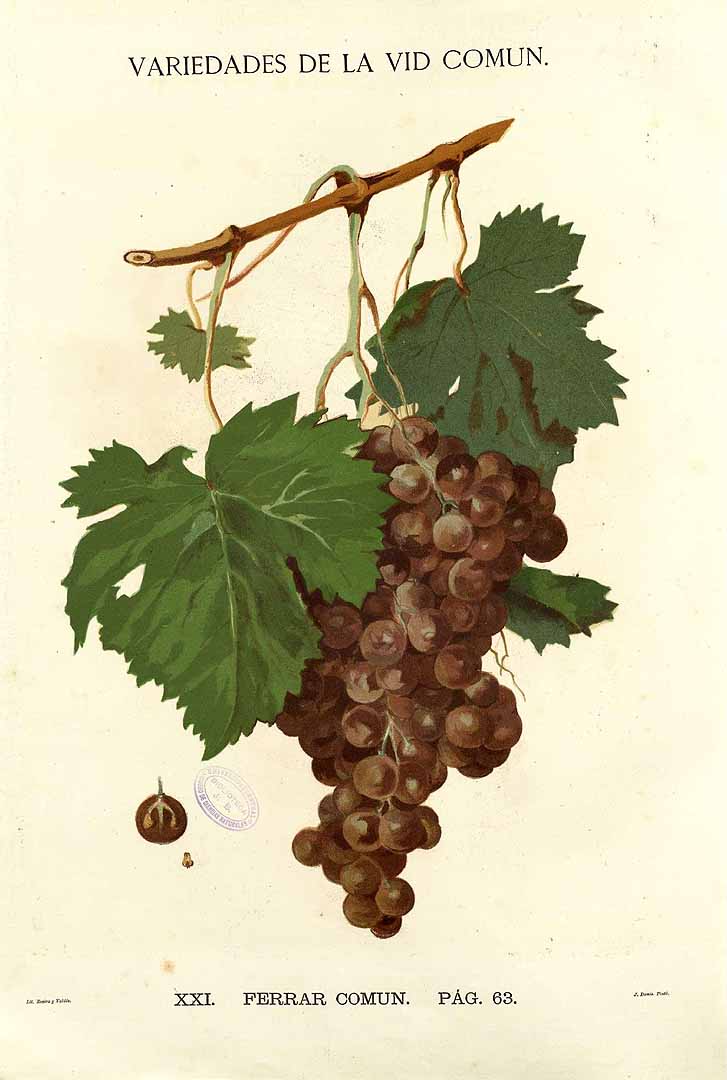 no HD illustration available (3)