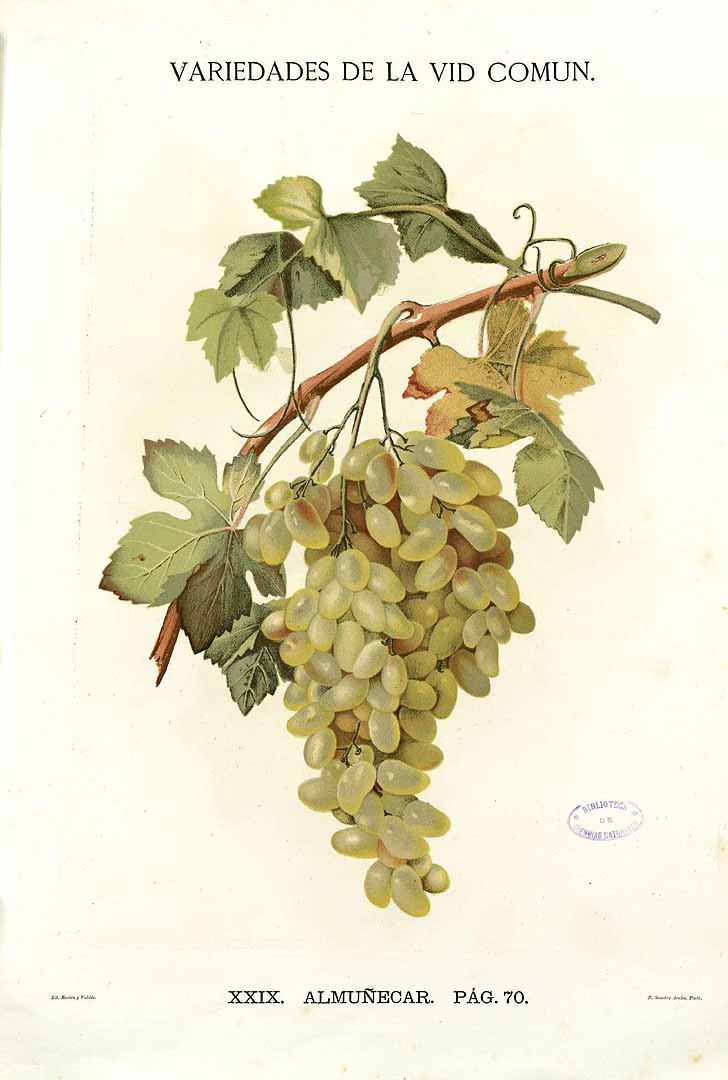 no HD illustration available (3)