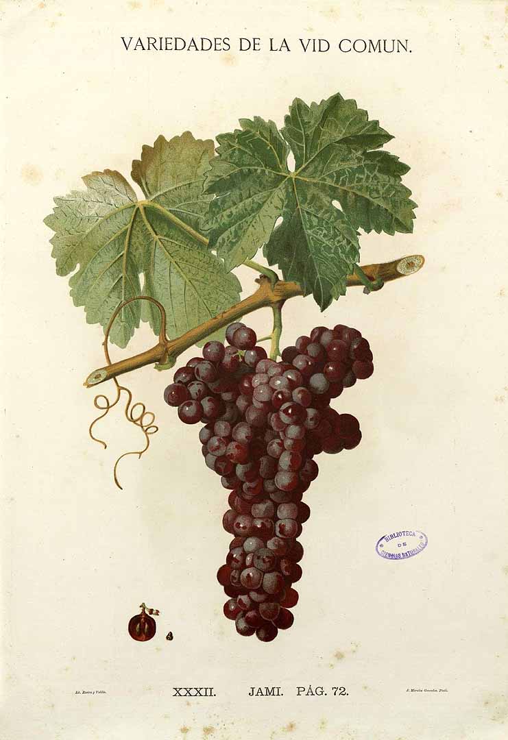 no HD illustration available (3)