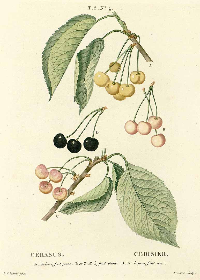 no HD illustration available (3)