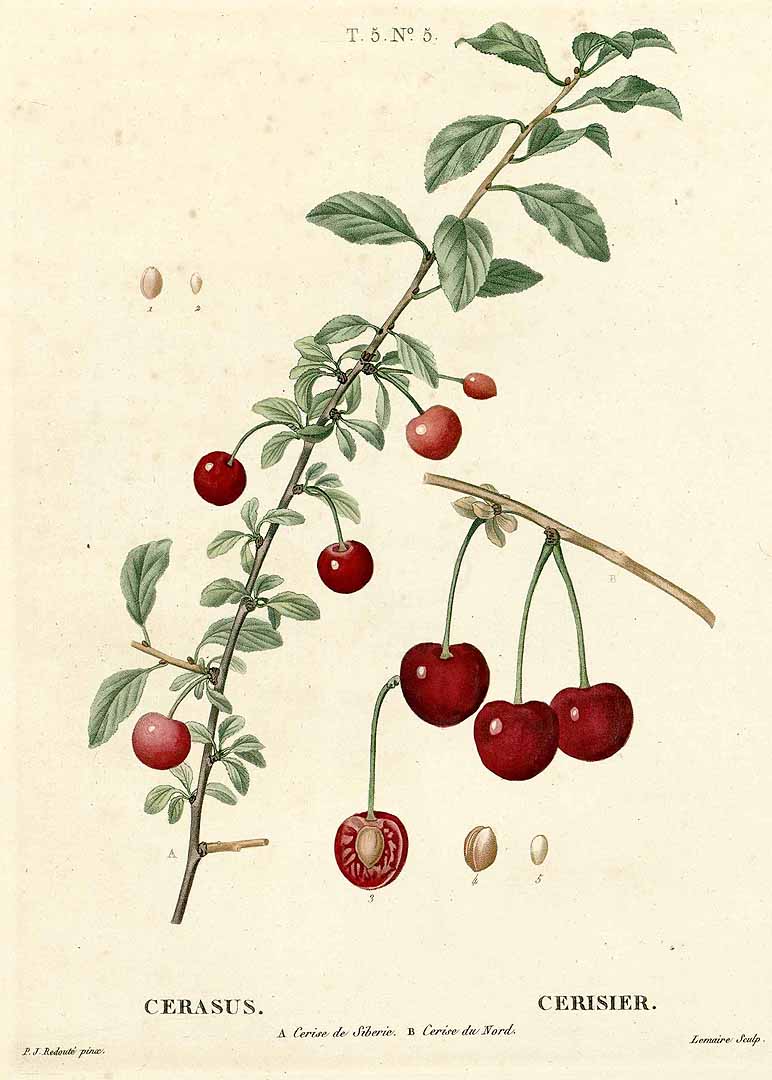 no HD illustration available (3)