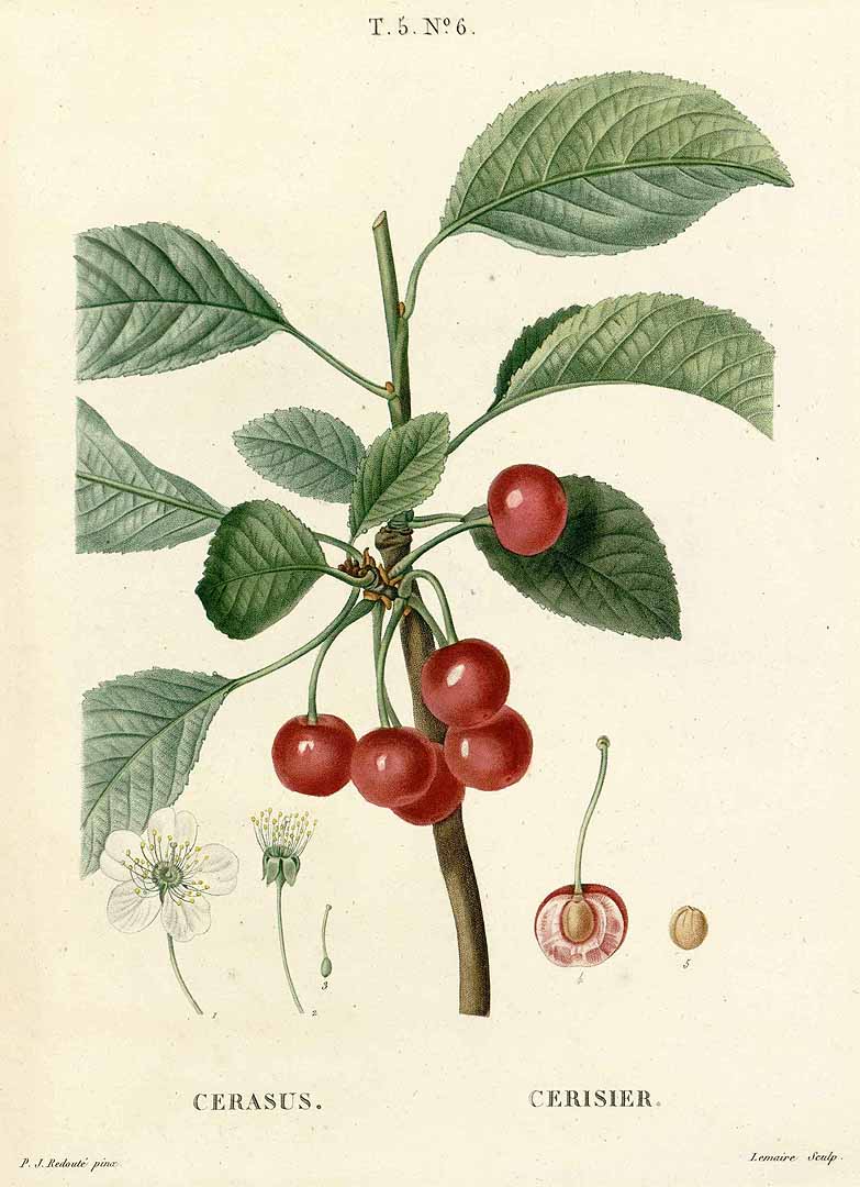 no HD illustration available (3)