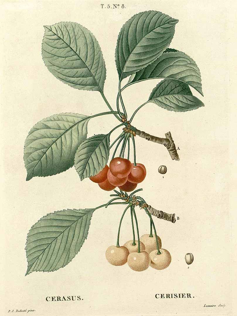 no HD illustration available (3)