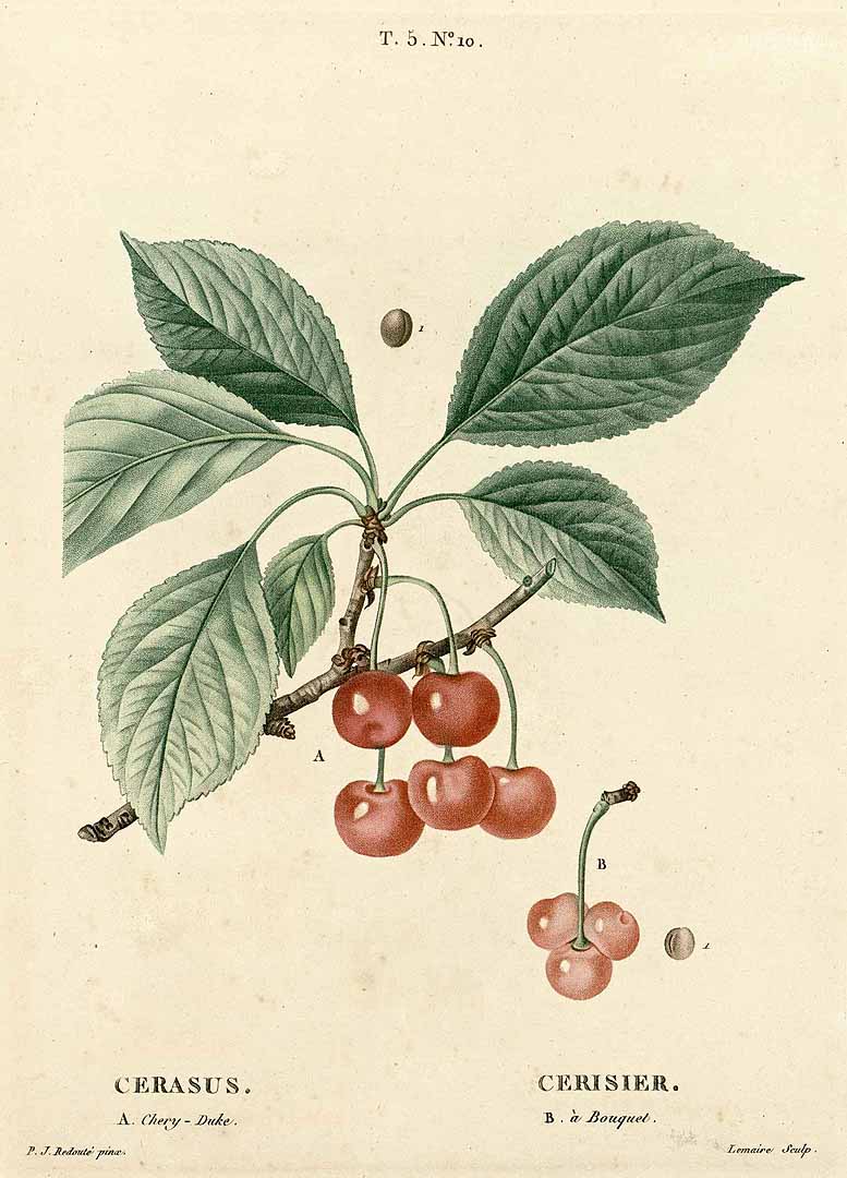 no HD illustration available (3)