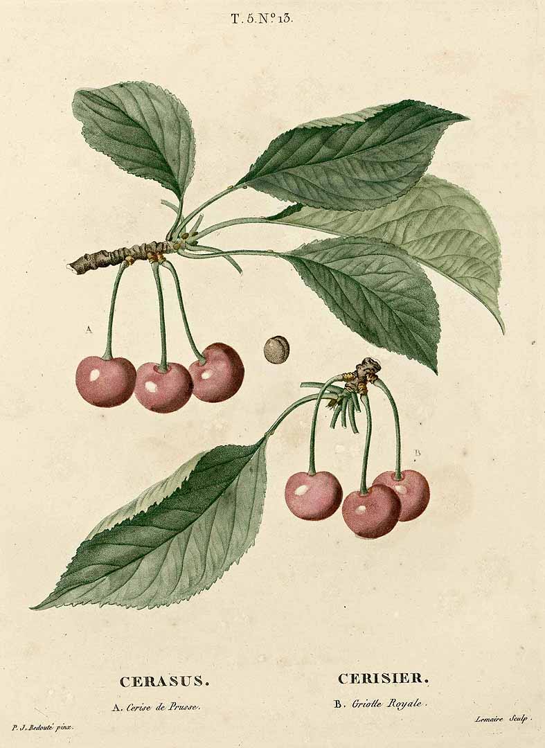 no HD illustration available (3)