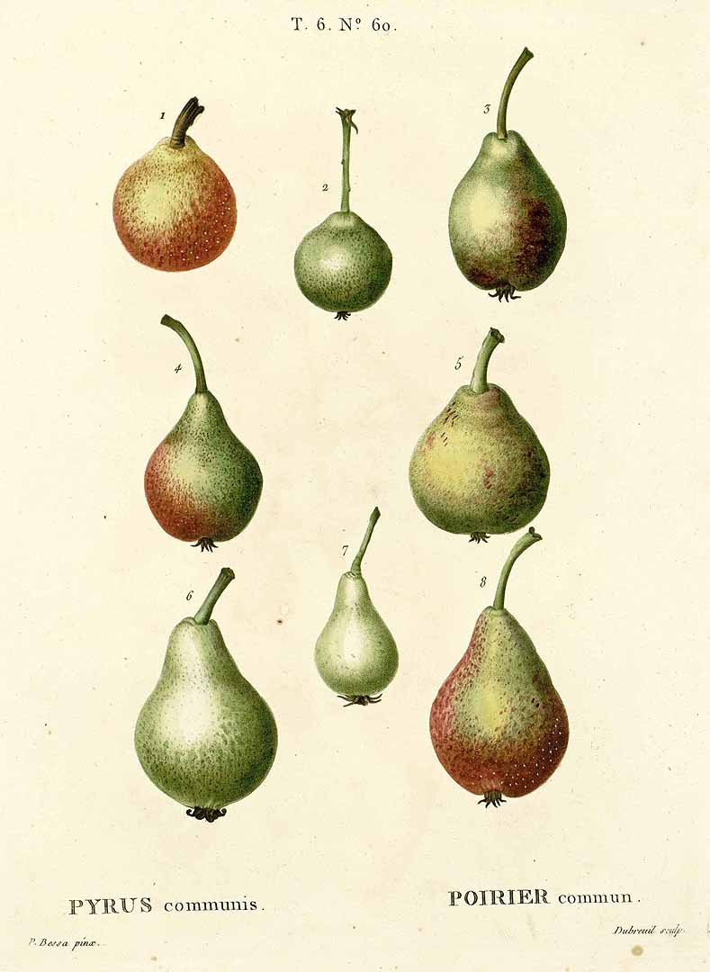 no HD illustration available (3)