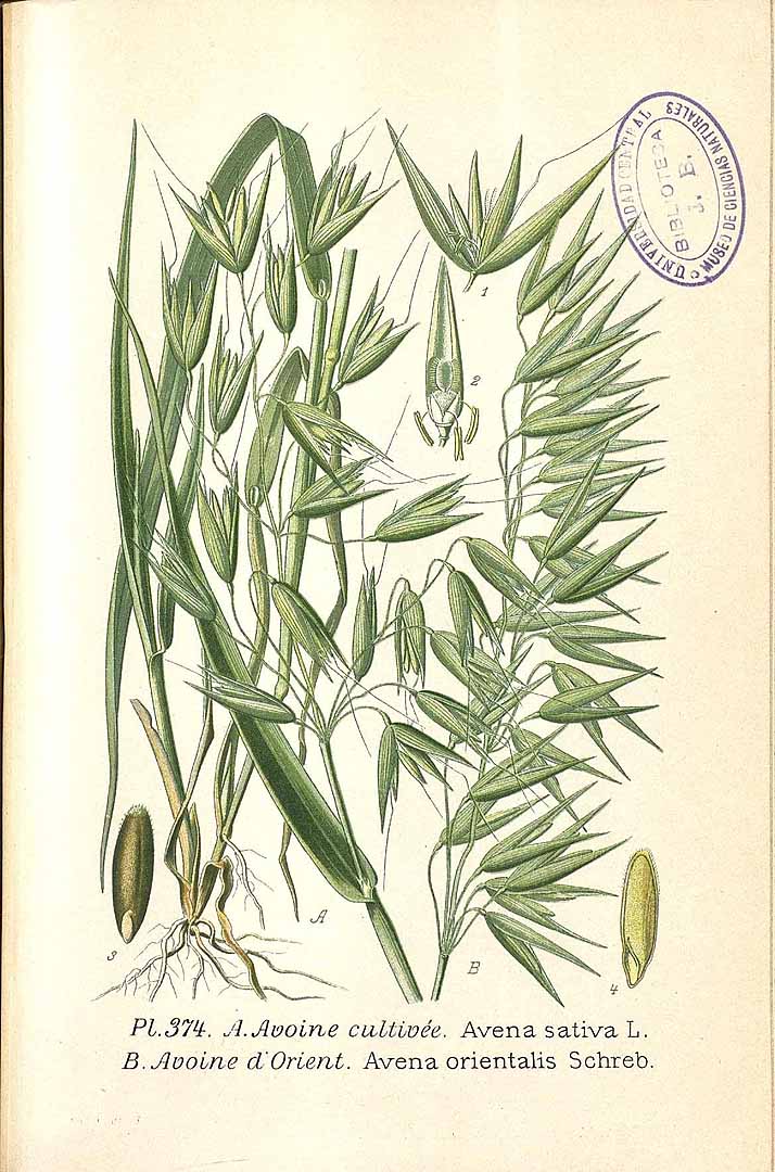 no HD illustration available (3)