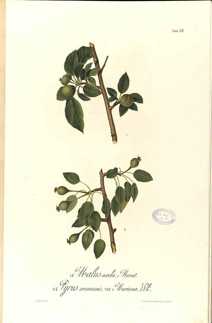 no HD illustration available (3)