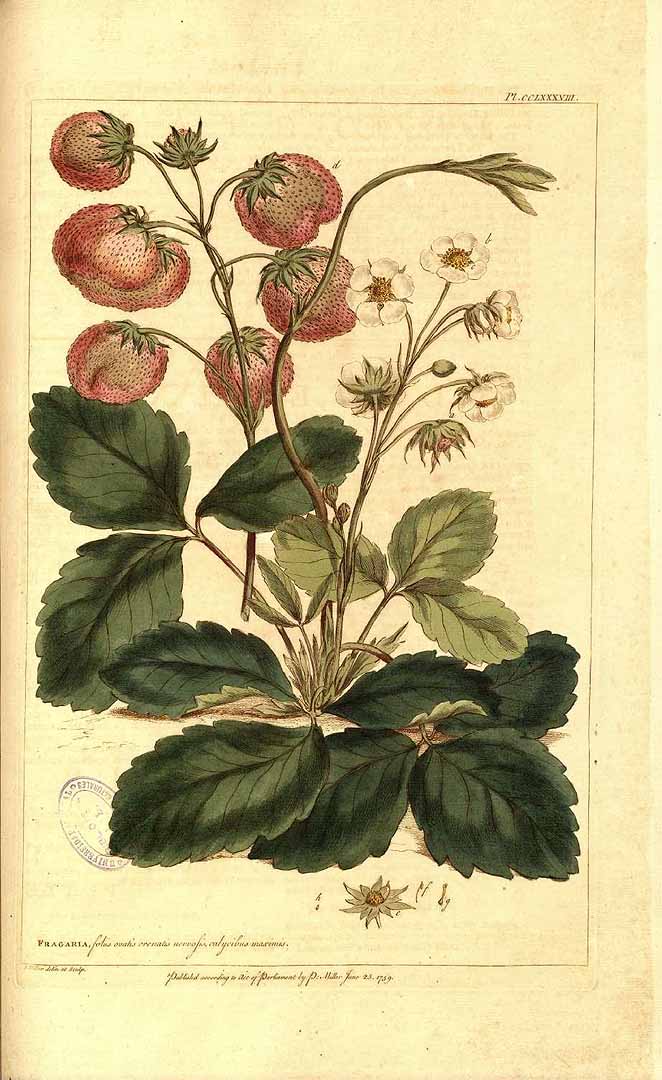 no HD illustration available (3)