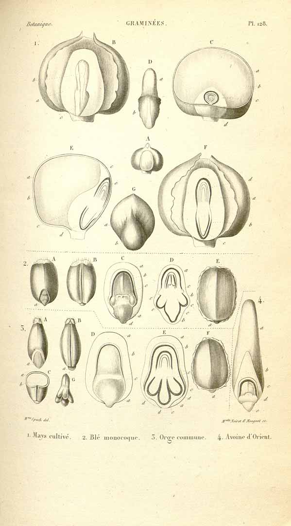 no HD illustration available (3)