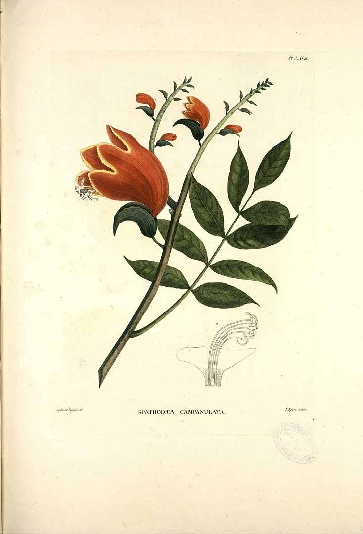 no HD illustration available (3)