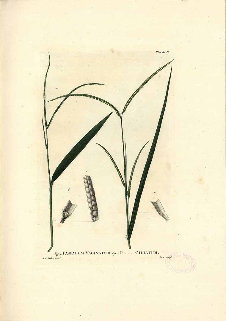 no HD illustration available (3)