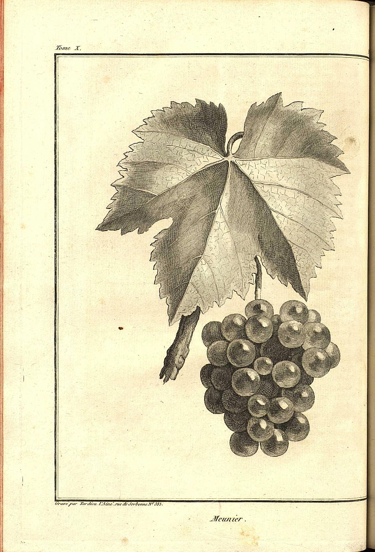 no HD illustration available (3)