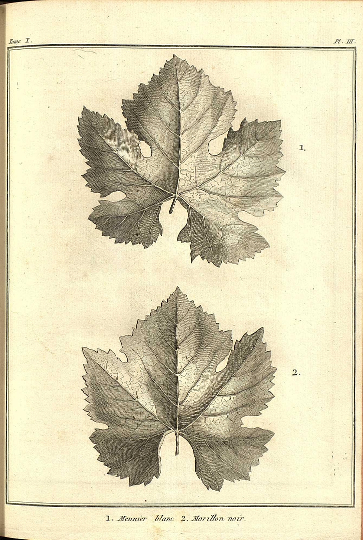 no HD illustration available (3)