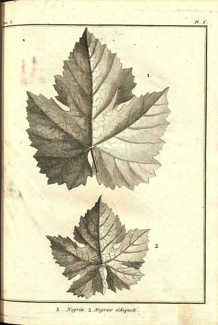 no HD illustration available (3)