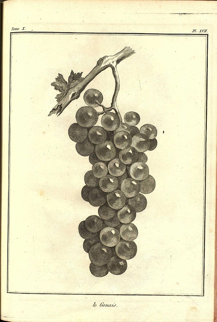 no HD illustration available (3)