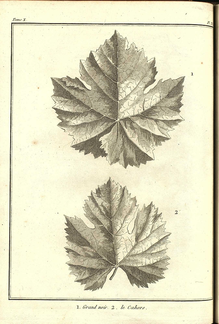 no HD illustration available (3)