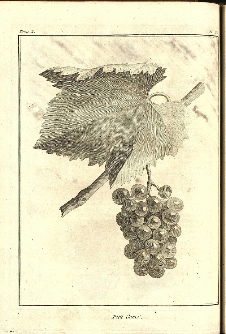 no HD illustration available (3)