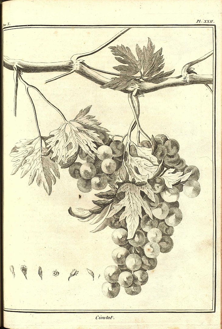 no HD illustration available (3)