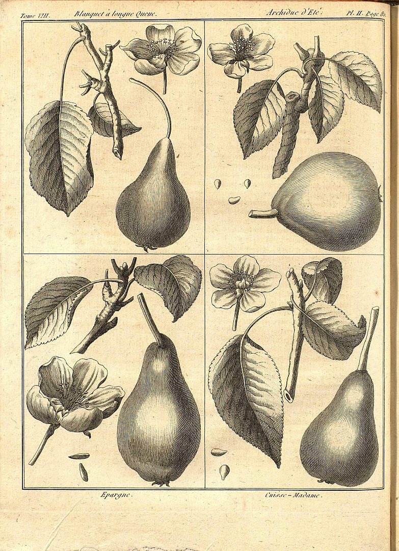 no HD illustration available (3)