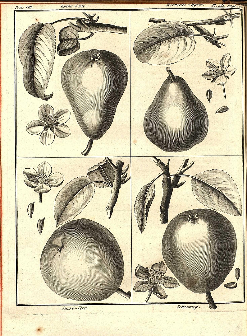 no HD illustration available (3)