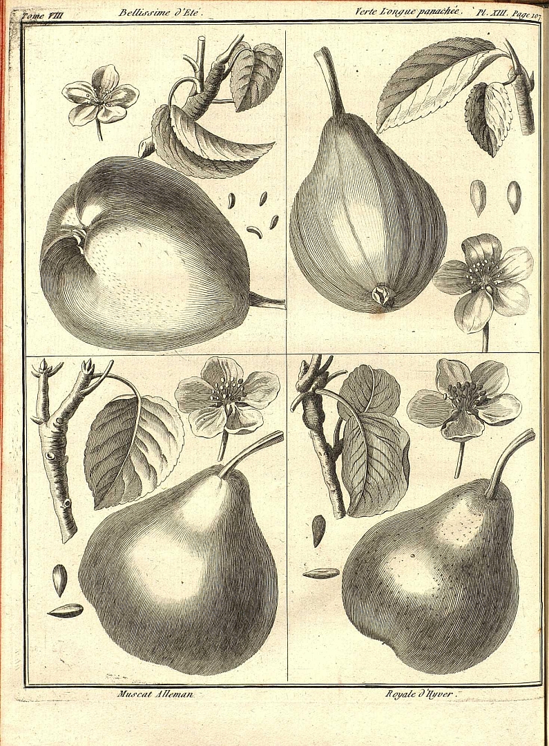 no HD illustration available (3)