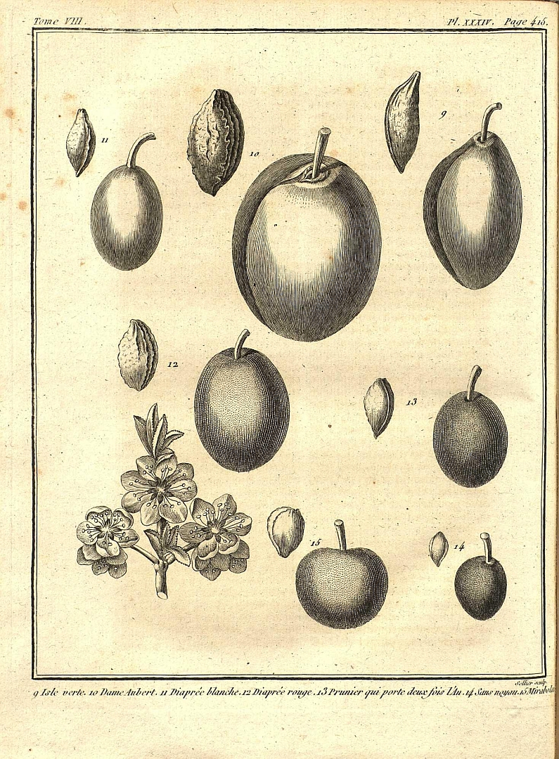 no HD illustration available (3)